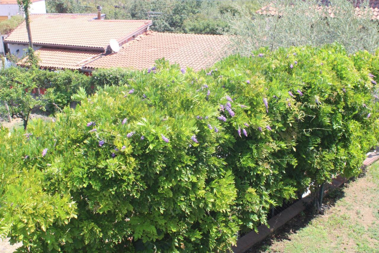 Villa Sicilia Apartment Catania Exterior photo